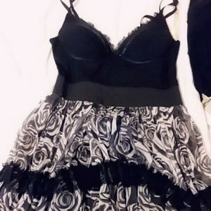 Rachael & chloe dress